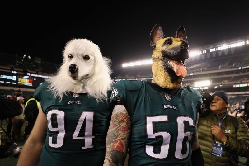 underdog betting and favourites